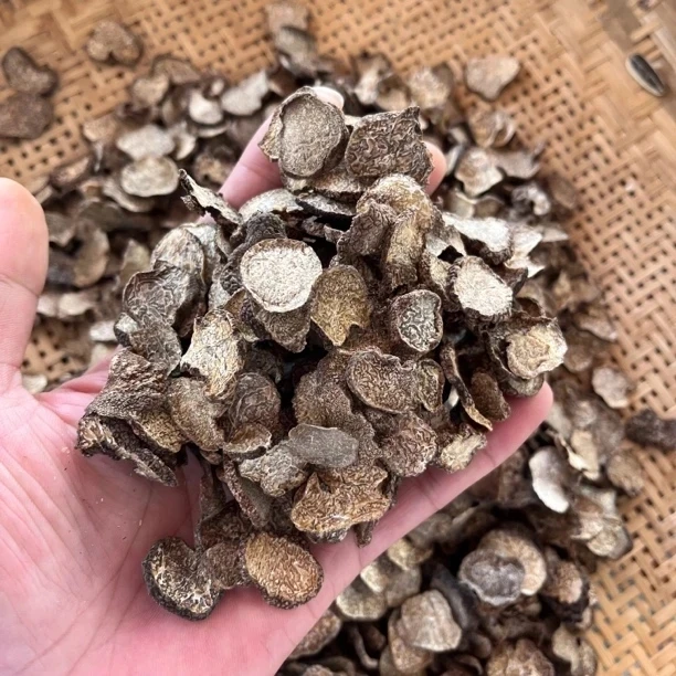 黑松露农户采摘自然无硫晒干云南特产