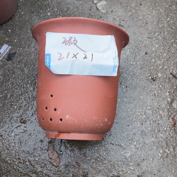 花盆紫砂特价商品