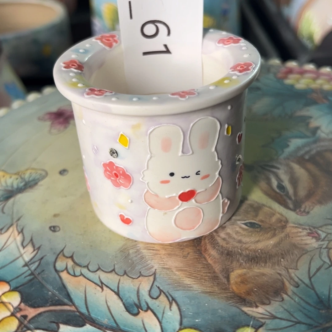 61多肉花盆   1个