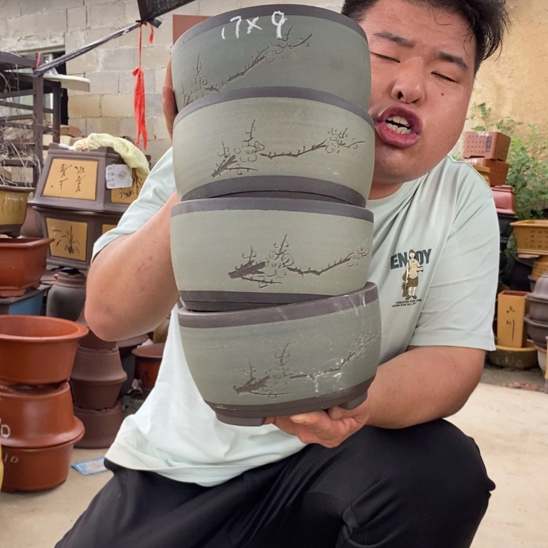 紫砂紫砂紫砂紫砂紫砂