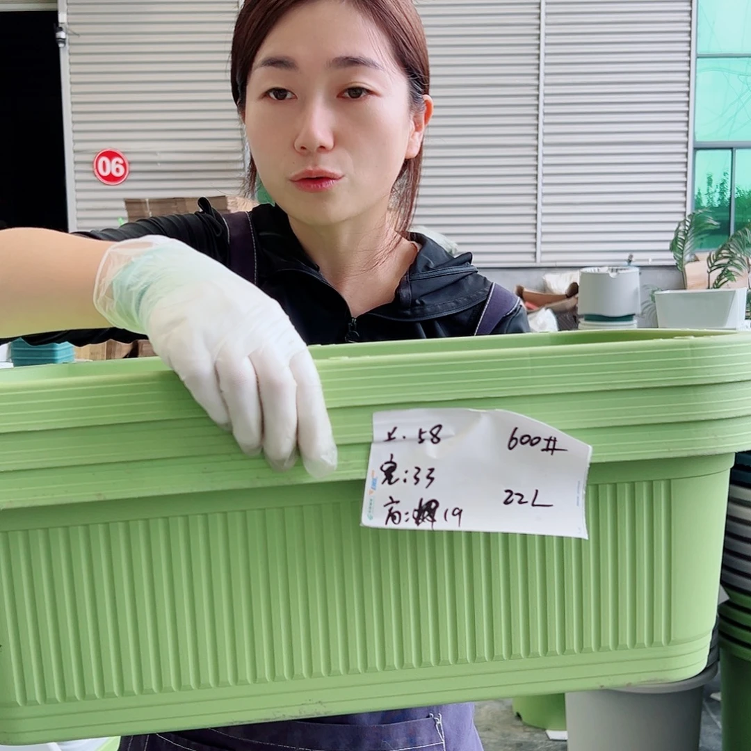 菜盆600#果绿3个无托
