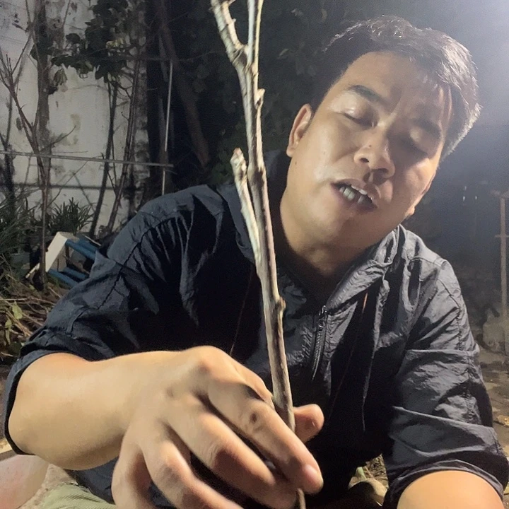 黄***豆当前无花栽培后可以开花209