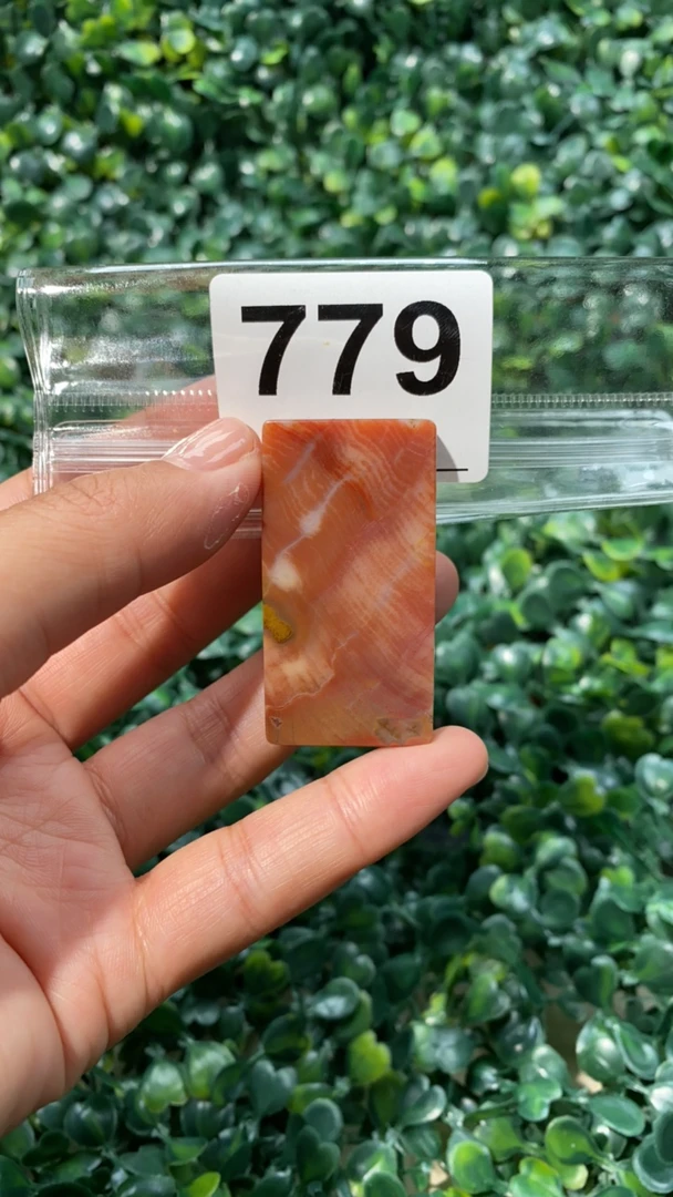 天然北票硅化玉牌子长：47mm宽：25mm厚：7mm