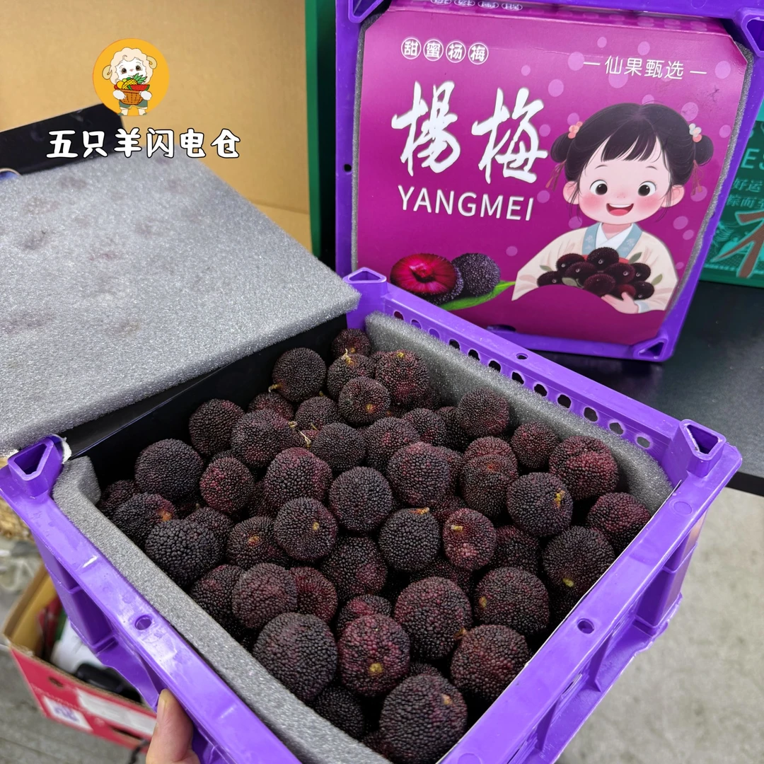 荸荠杨梅黑炭杨梅带箱2.2斤左右