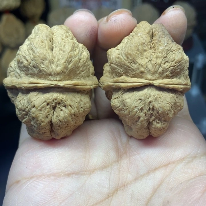 文玩核桃吊坠古蝉王