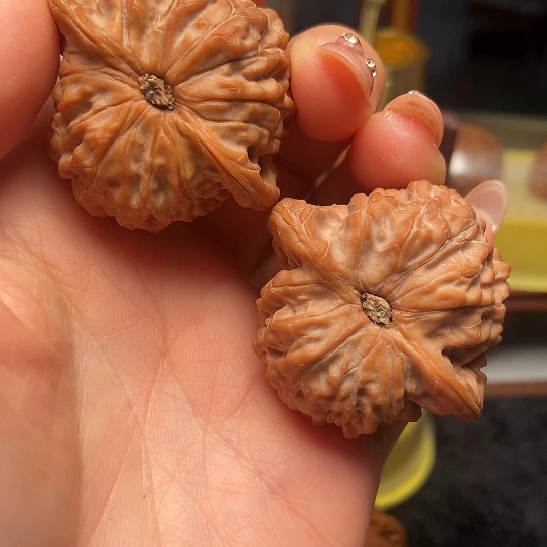 圆****大叶紫檀（黑酸枝木类）全品血麒麟