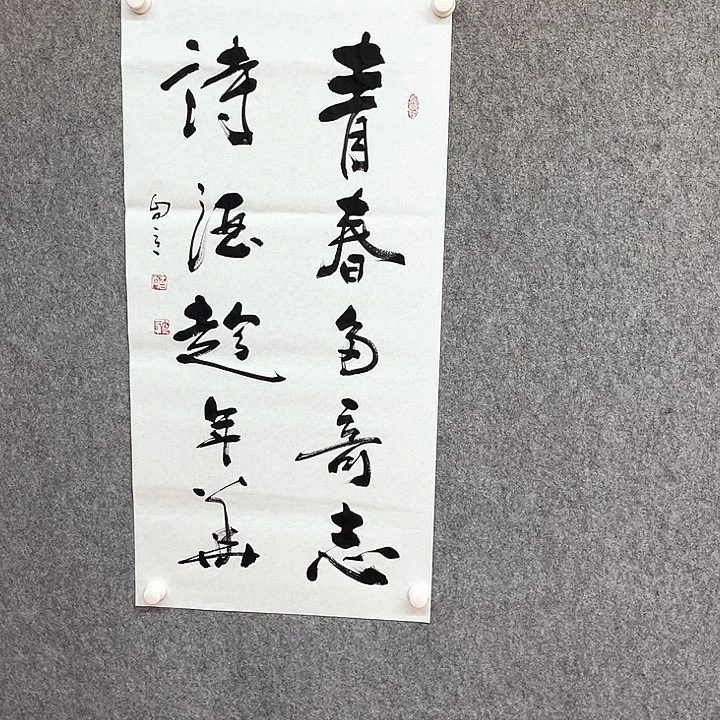 书法青春书法作品