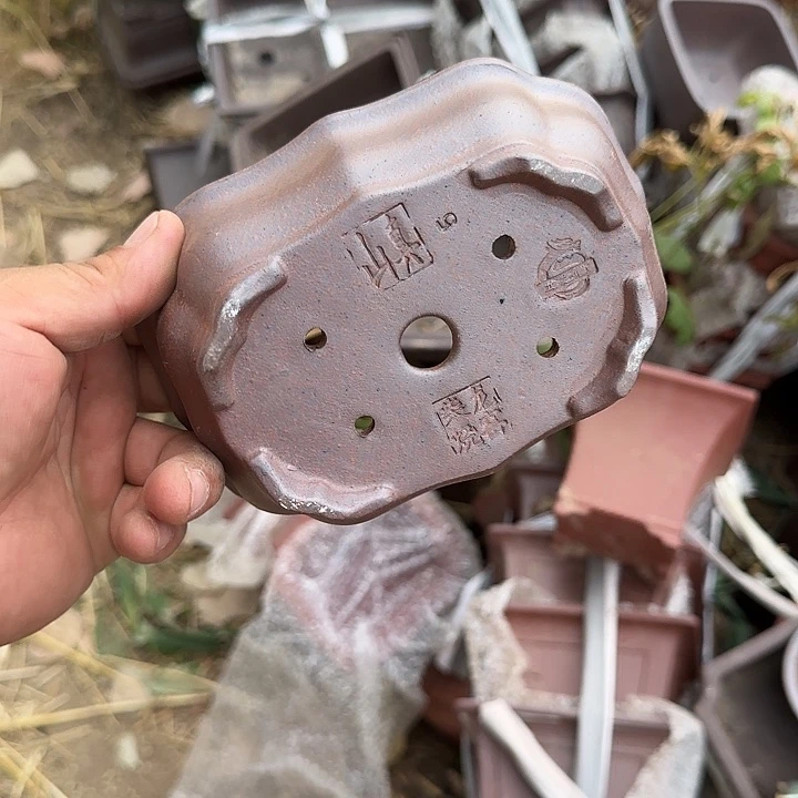 不用来咯哦啦啊哦啊