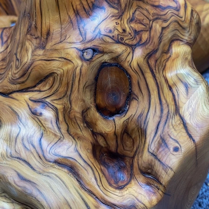 柏木（崖柏）✞****✞崖柏39