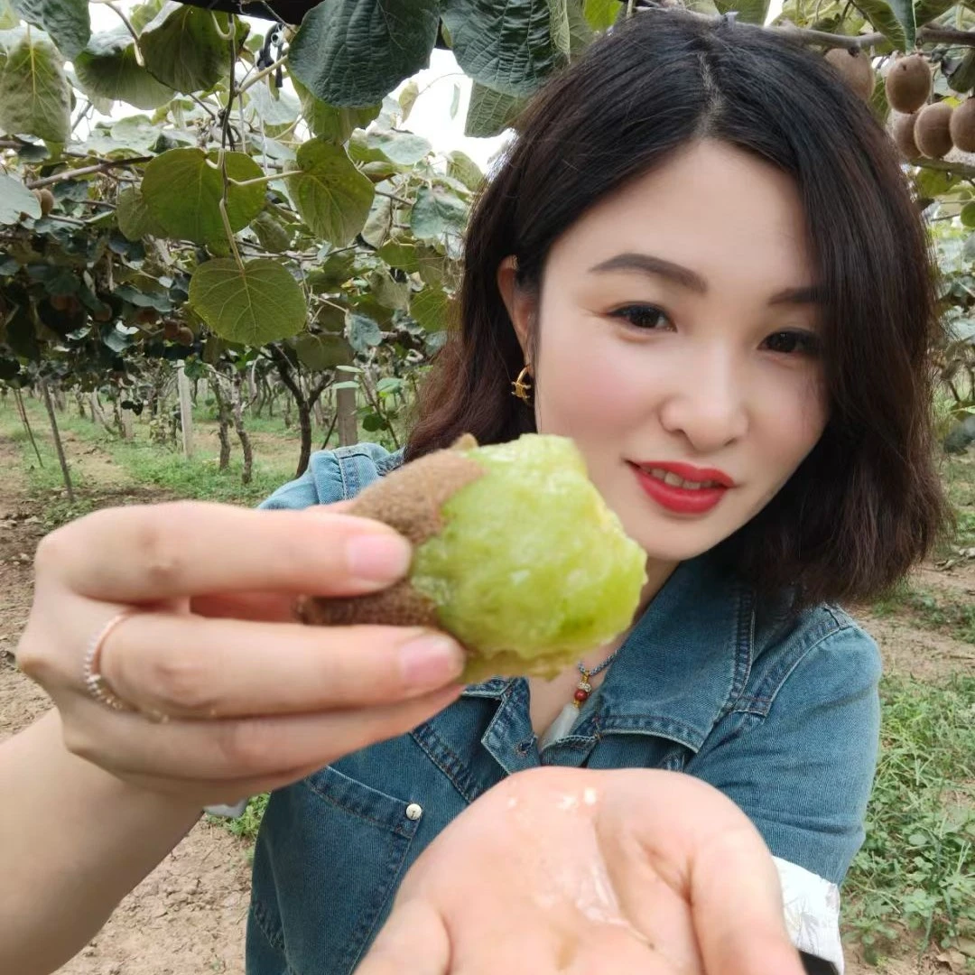 陕西眉县徐香绿心猕猴桃当季新鲜水果香甜多汁维C丰富