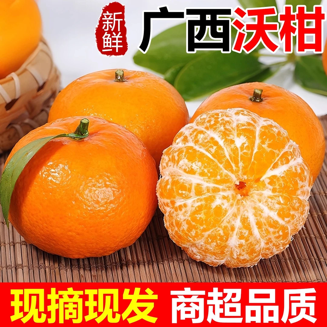 广西武鸣沃柑甜度高水分足果肉嫩应季现摘现发产地直发