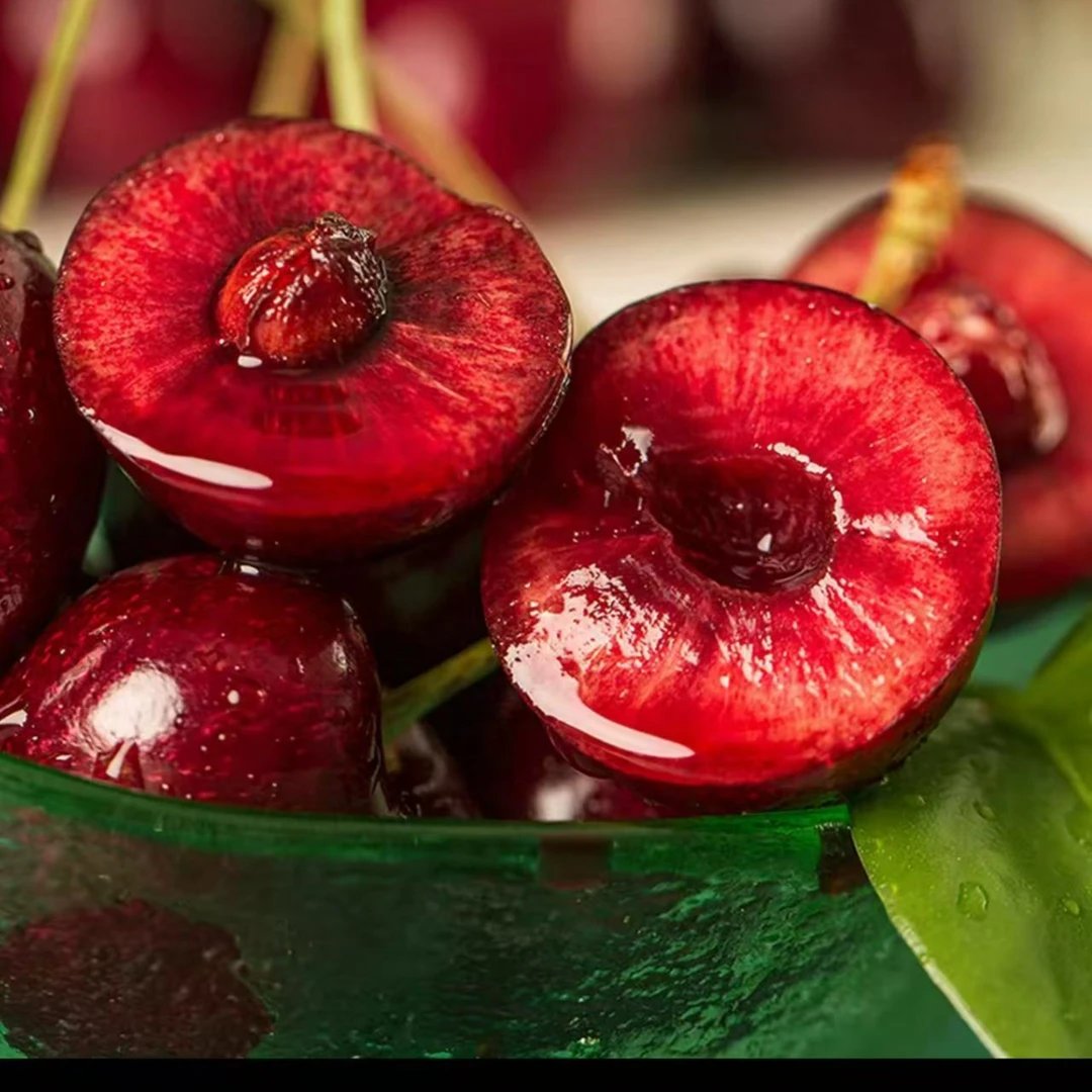 顺丰包邮】空运车厘子桑提娜2J-3J/ 净重5斤礼盒内附果径卡桑提娜樱桃智利共和国