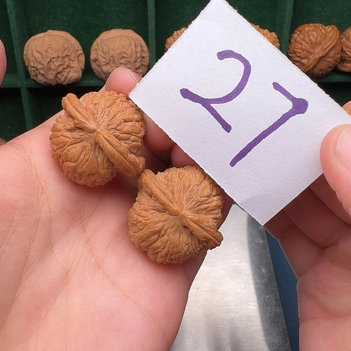 文玩核桃把件27白狮子32尺