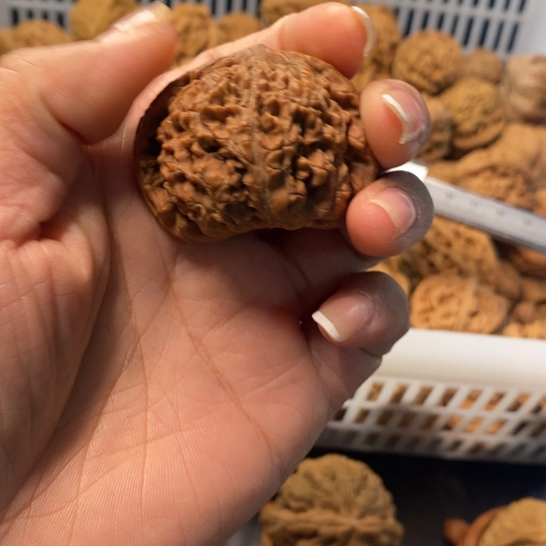 老***斋文玩核桃吊坠水龙纹