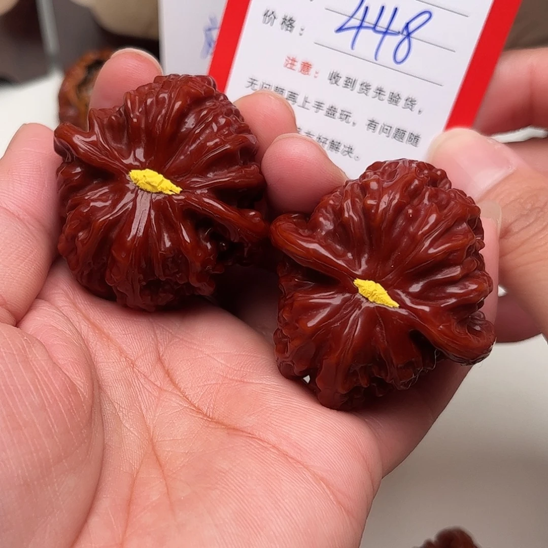 龙***哥448。42尺。 白狮子