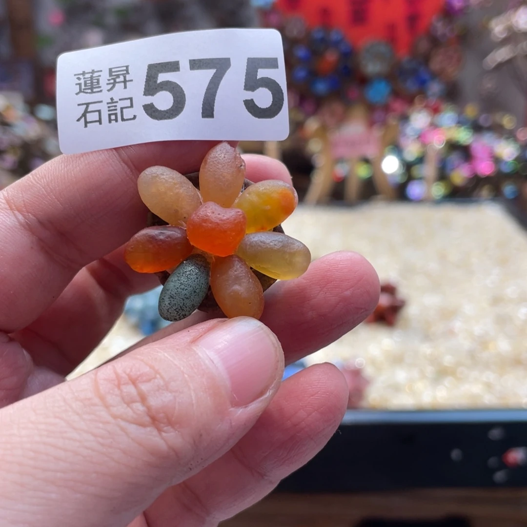 核桃木/黑胡桃（胡桃木）G****@575