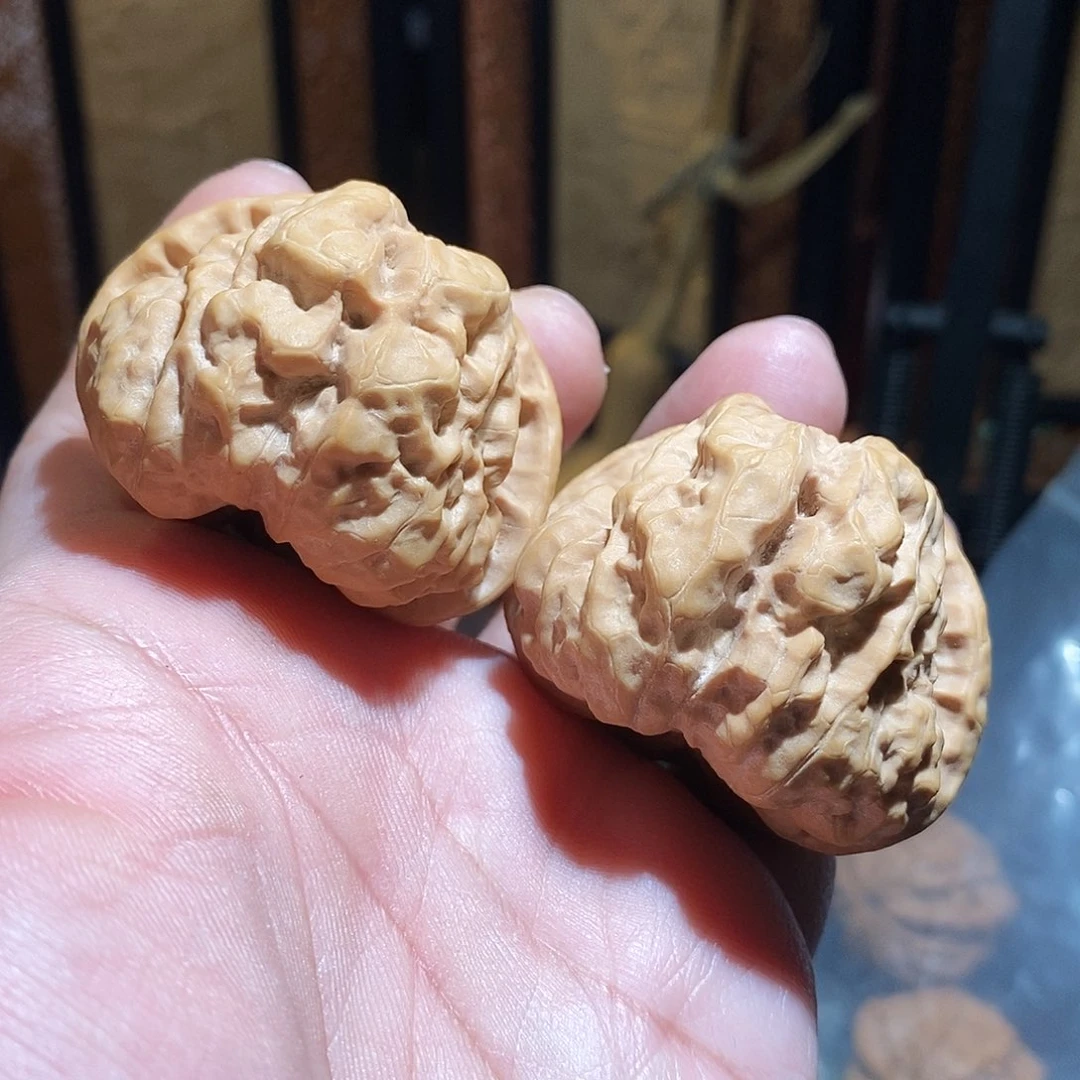 文玩核桃把件47边蛤蟆头