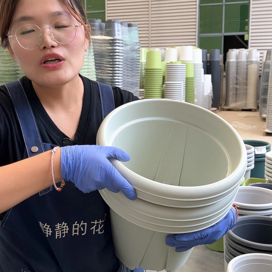 青山盆6#米白色5个无托