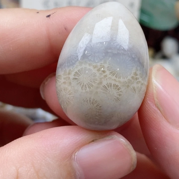 硅化珊瑚（珊瑚玉）未镶嵌颈饰多**的