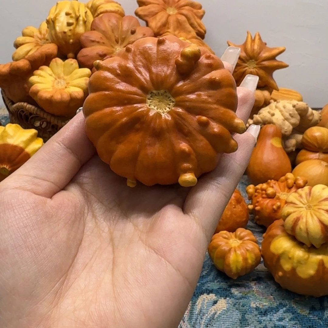 疙瘩墨西哥葫芦瑕