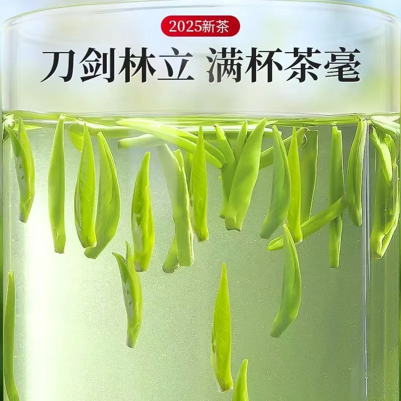 2025新茶雀舌绿茶茶叶500g罐装