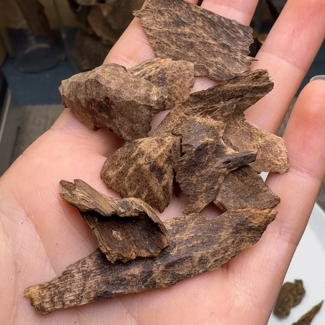 香榧木海南霸王岭沉水碎料5.2克