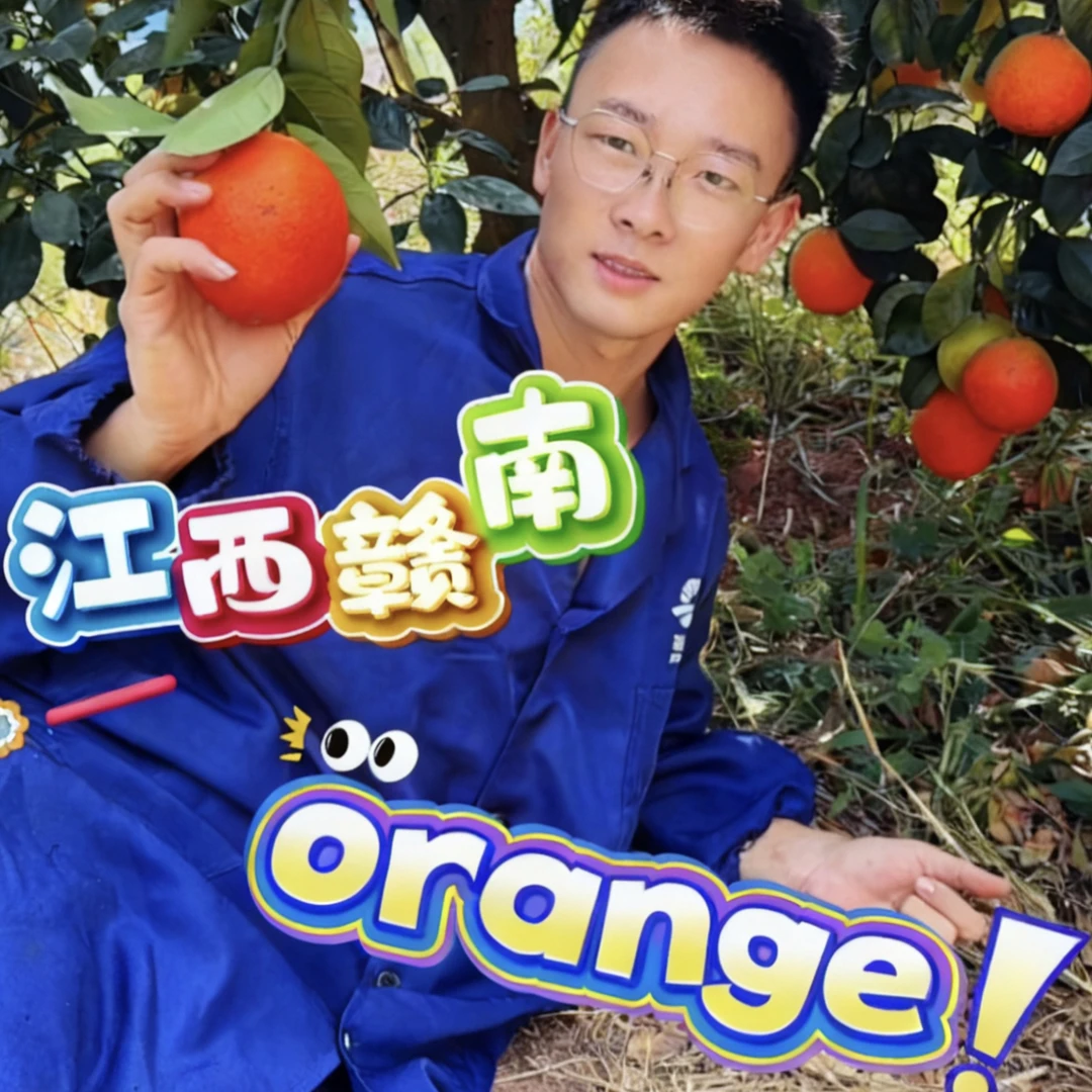 （5斤/10斤/20斤彩箱装）正宗赣南脐橙新鲜采摘现摘现发香甜爆汁