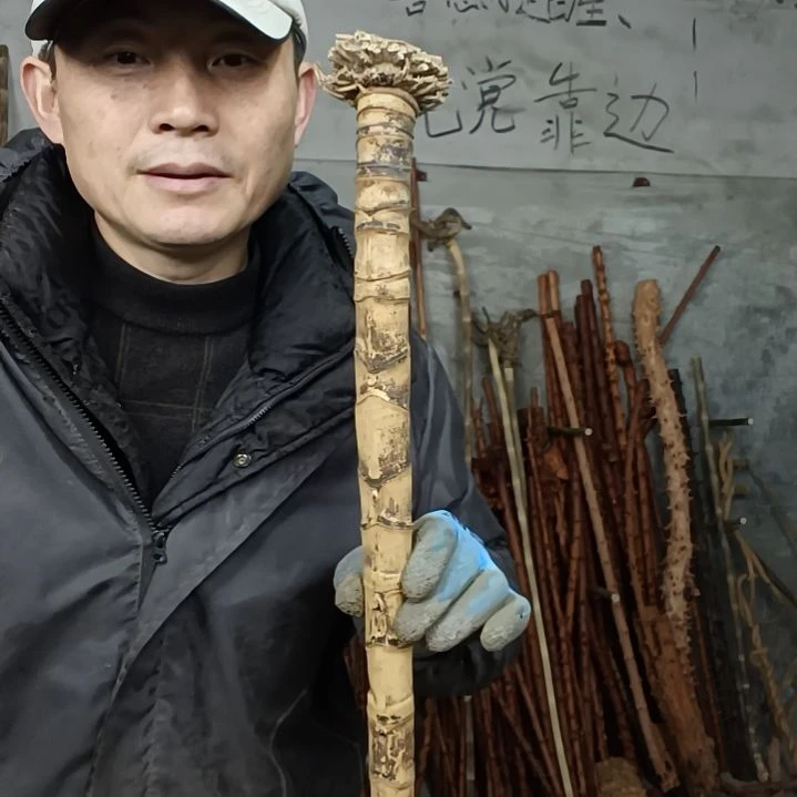 稳定木向*华贵州檬子木   铁马鞭   根艺  半成品