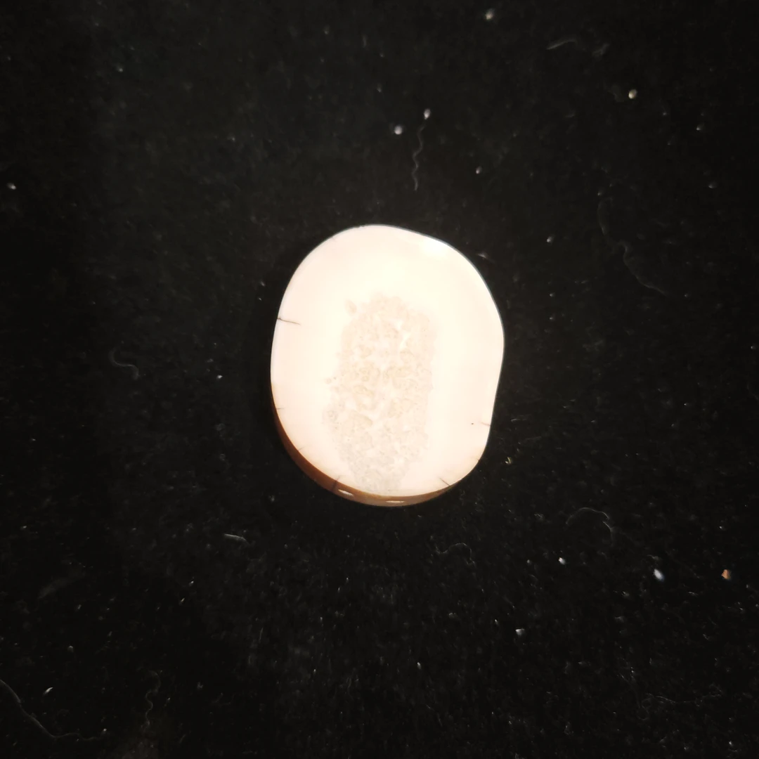 猛犸猛犸虬饼子WW886