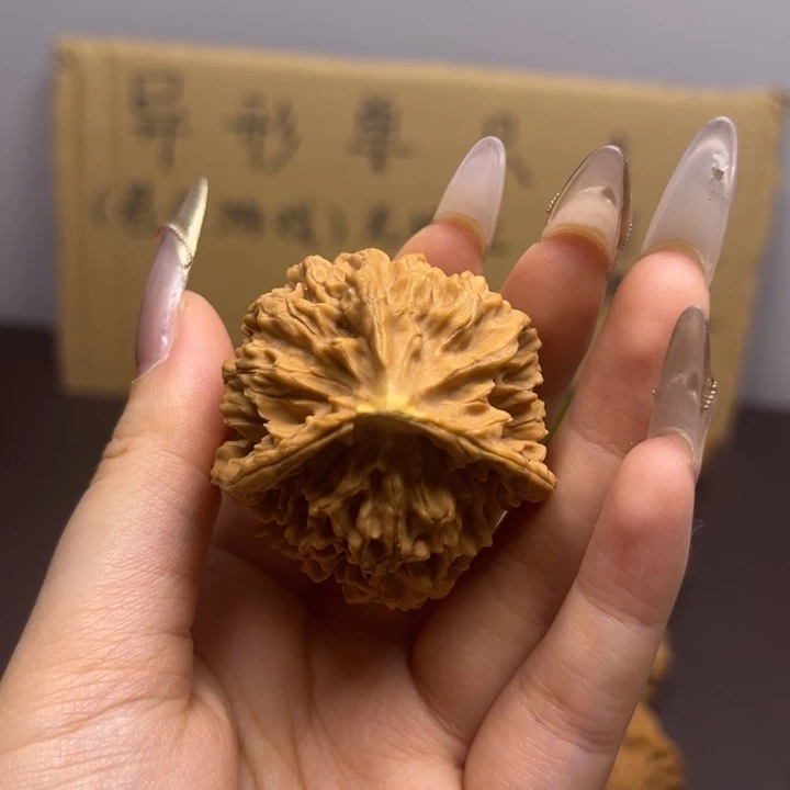 w***3菩提籽类三棱单只异型有瑕