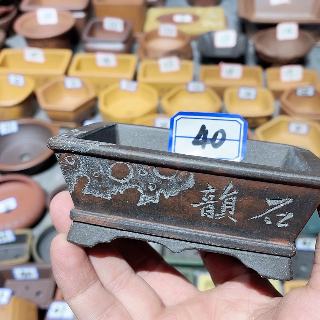 用***0紫砂小盆8.5*6*3cmmmm