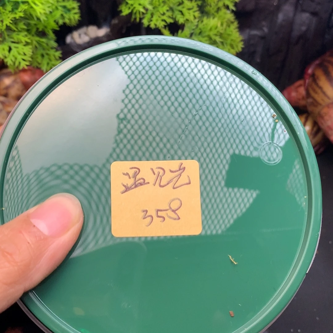 遇见光专拍奔跑家