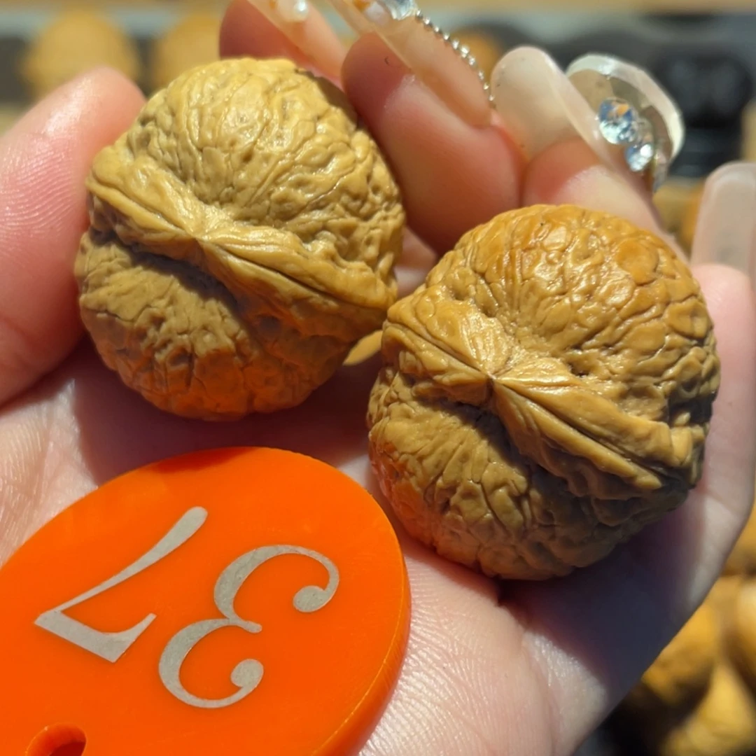 微彩滴溜圆31。