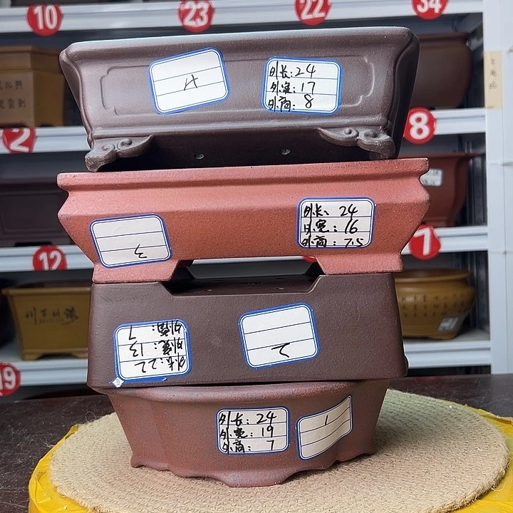 花盆紫砂蛇年大吉