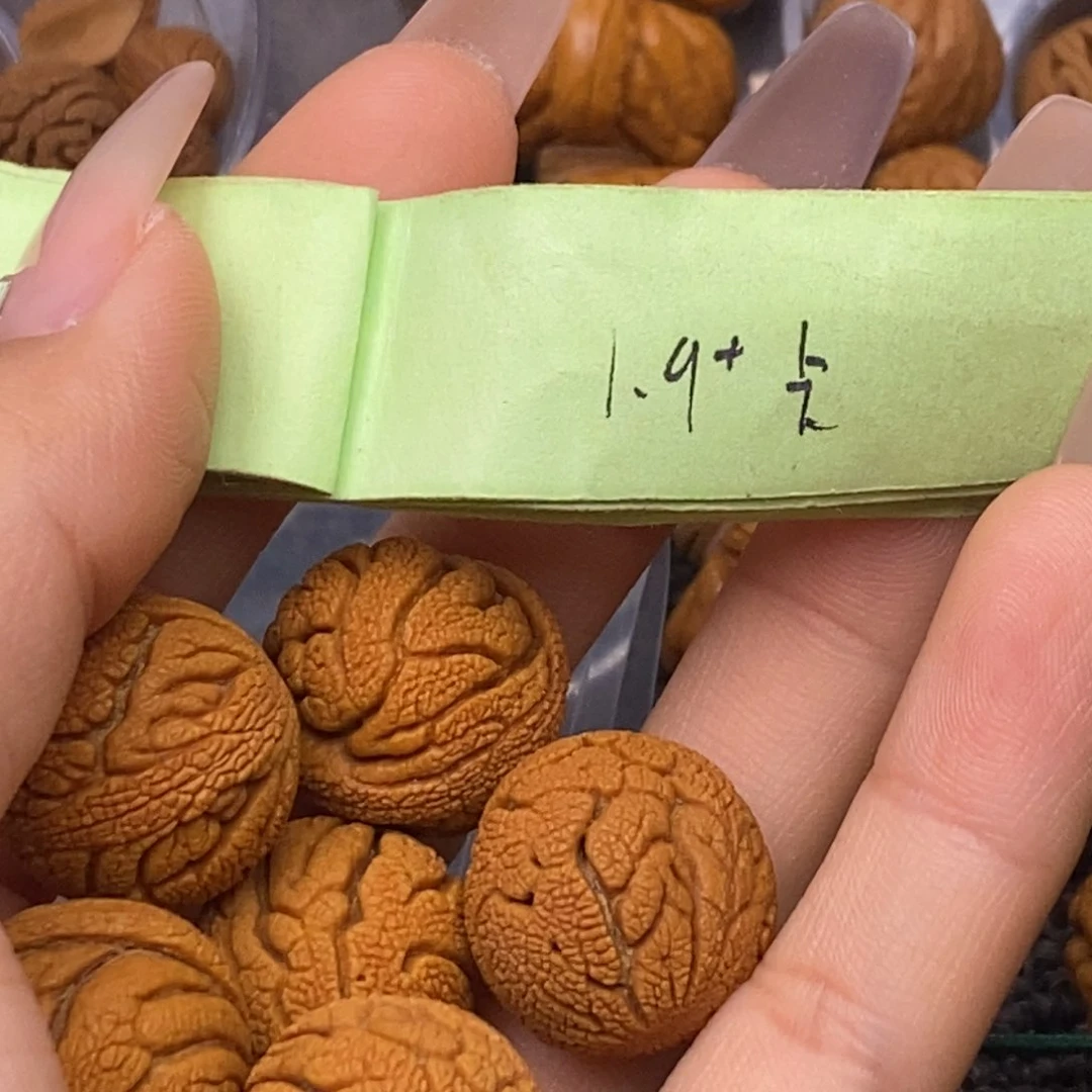 秦岭山脉龙纹桃核 14