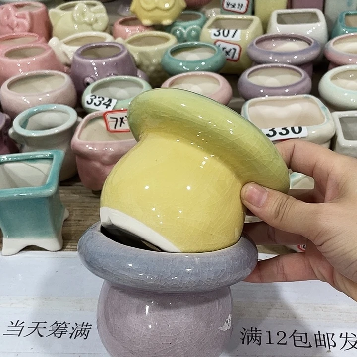 花盆花盆直播间满12包邮