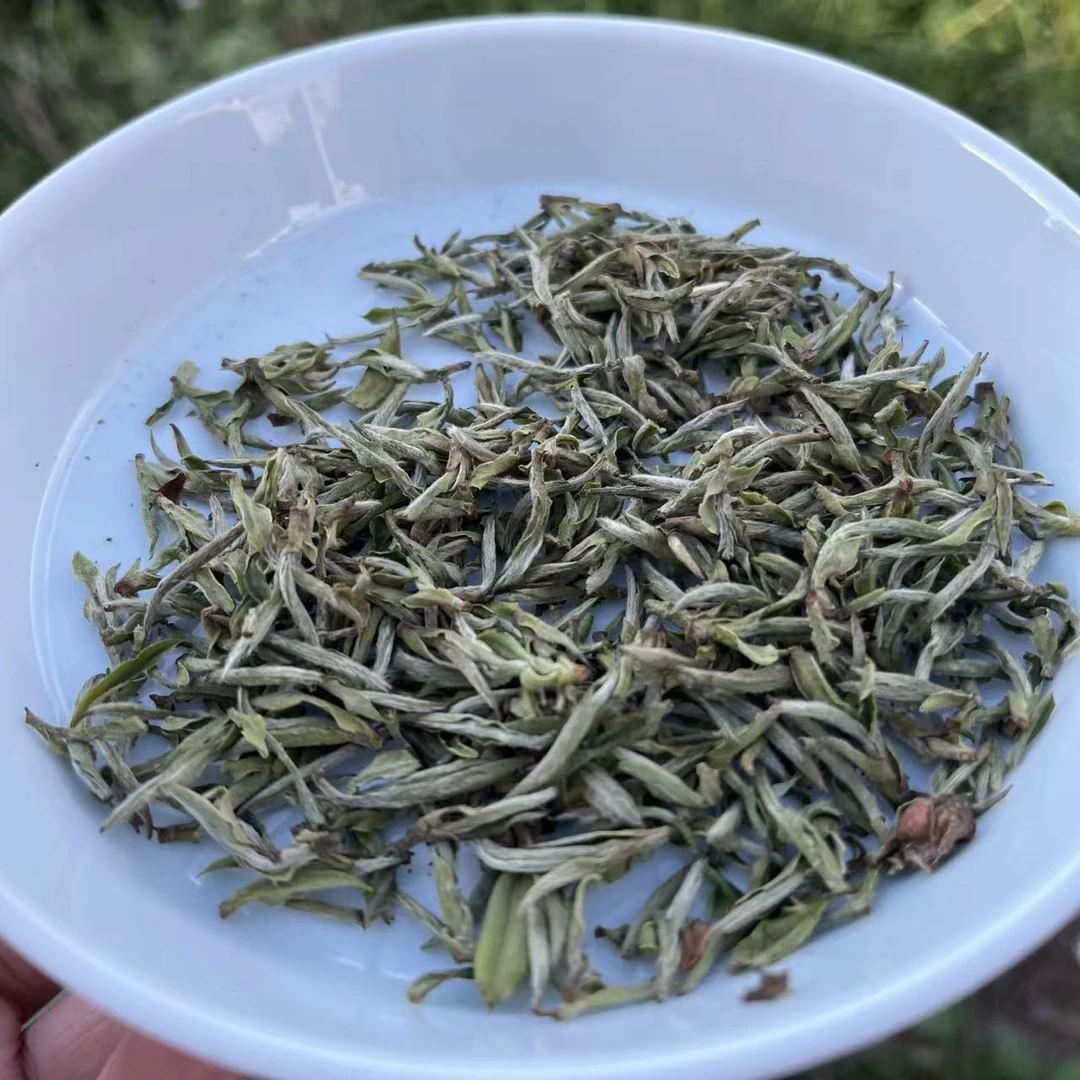 五十年代 2025贡眉王  菜茶 磻溪 大洋山80年树龄 荒野白茶