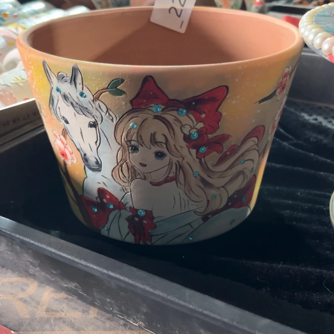 ?****✨221多肉花盆1个