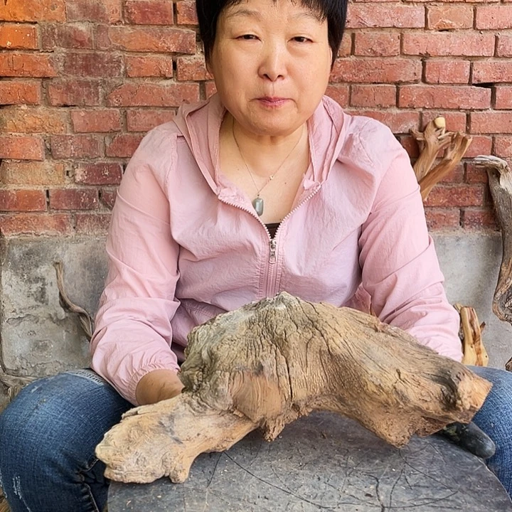 柏木红**踪太行崖柏崖柏树