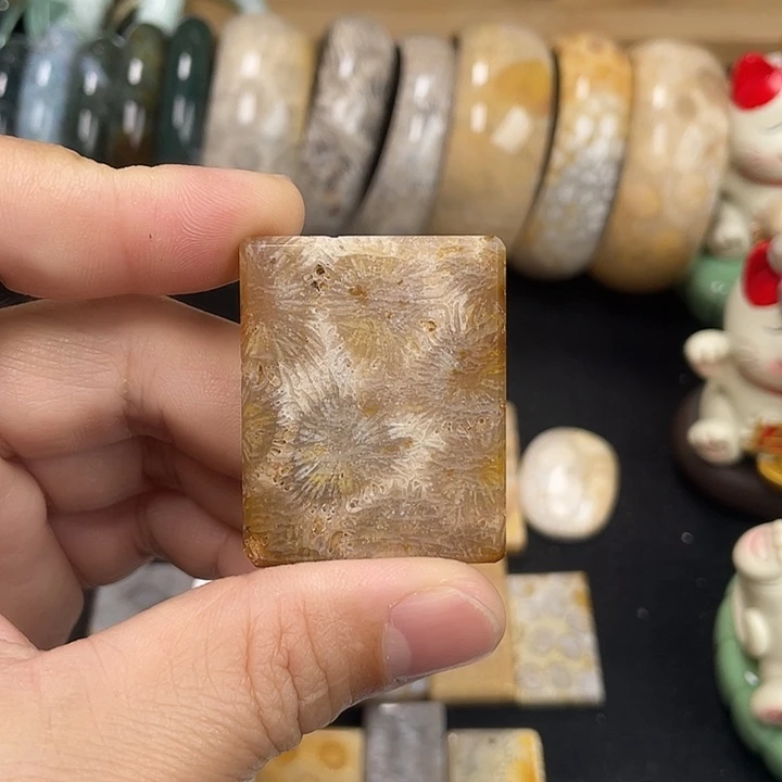 硅化珊瑚（珊瑚玉）未镶嵌吊坠(不含链)