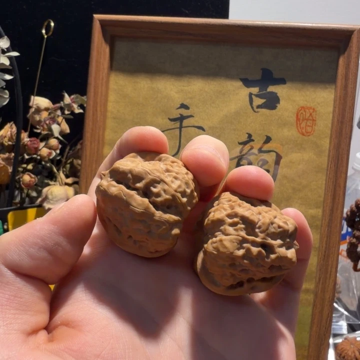 全品无修33.5小蛤蟆头红皮