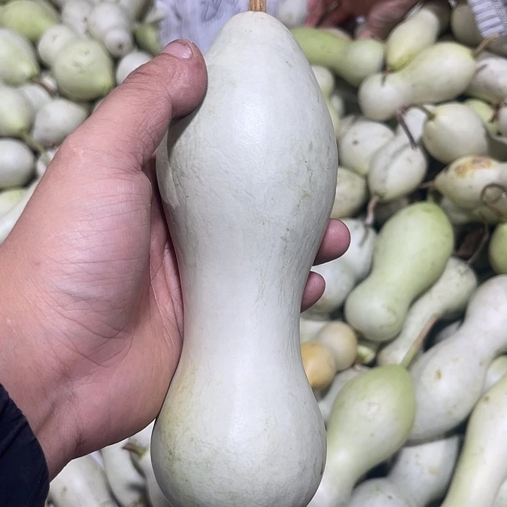 非洲紫檀（红花梨）我***迪