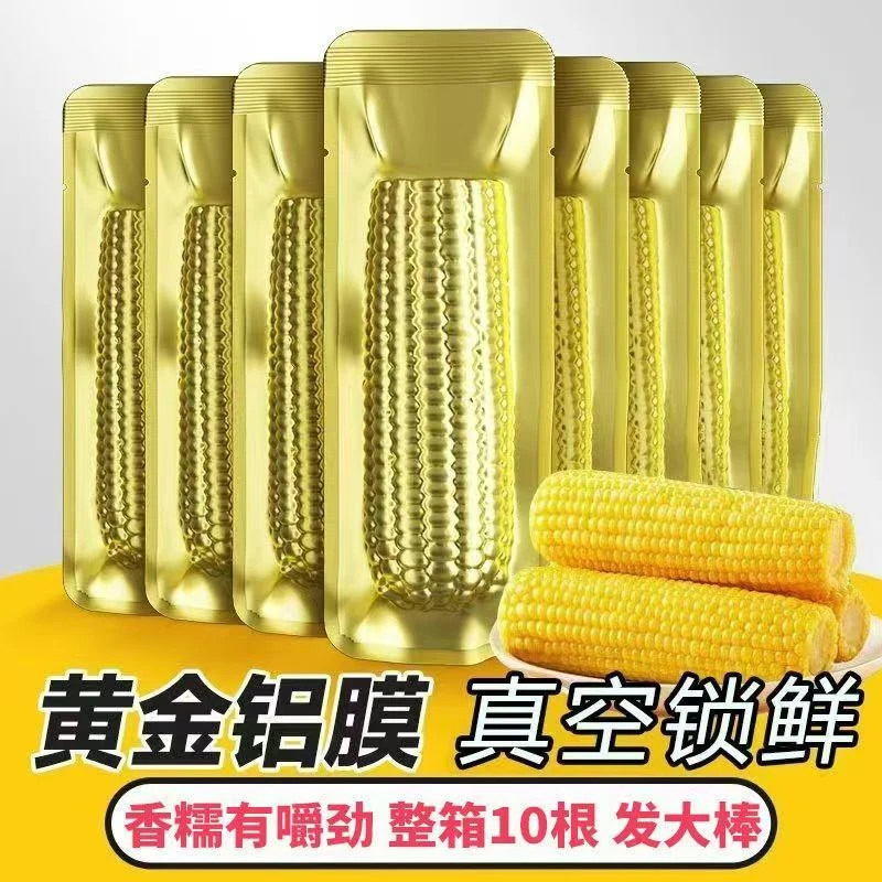 东北软糯黄玉米240克-300克整箱6斤10棒支持2棒试吃