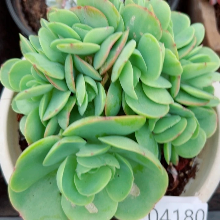 幸运的是我还没遇到过