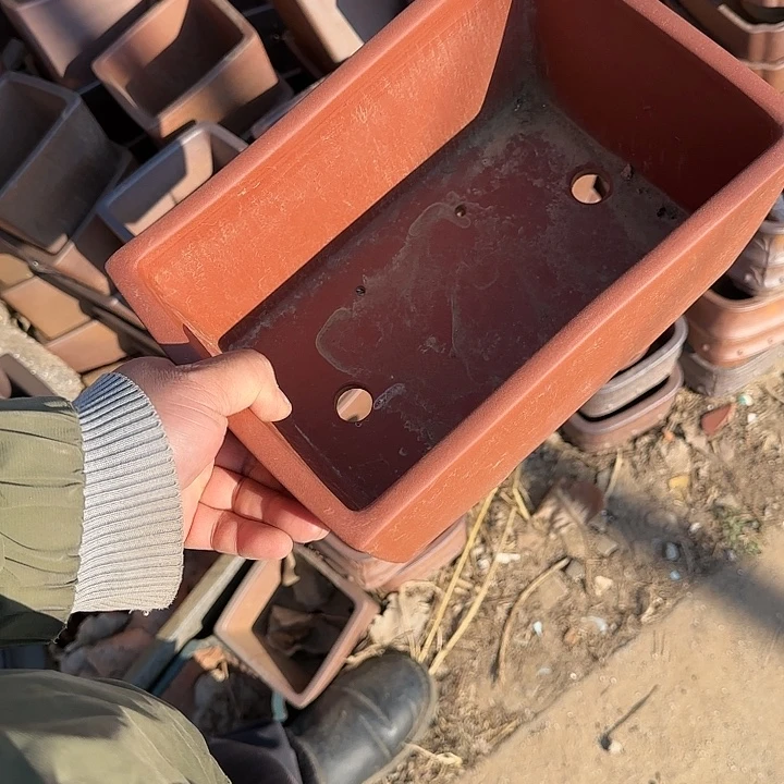 是因为她太喜欢了所以还是觉得不应该这么想你呀因为爱一