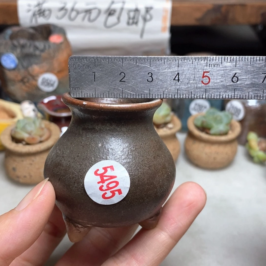 拍5送一个小礼物