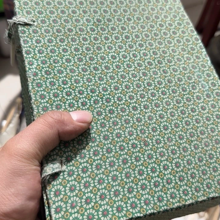 橄榄核其他平**乐Cgchcgcgcgcgccc