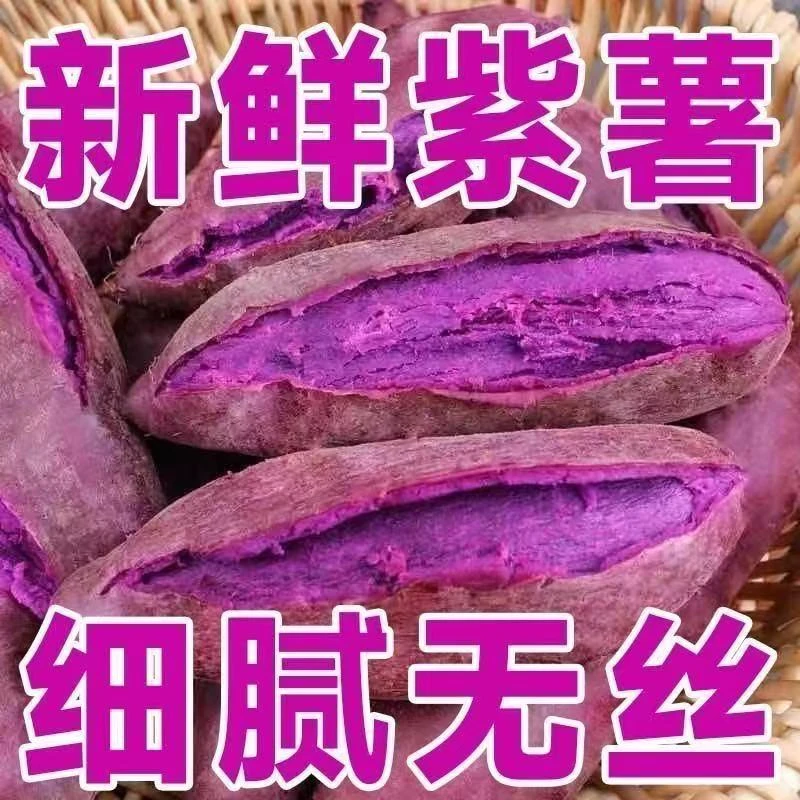 紫薯新鲜地瓜紫心蜜薯种薯现挖沙地番薯山芋农家自种蔬菜板栗软糯