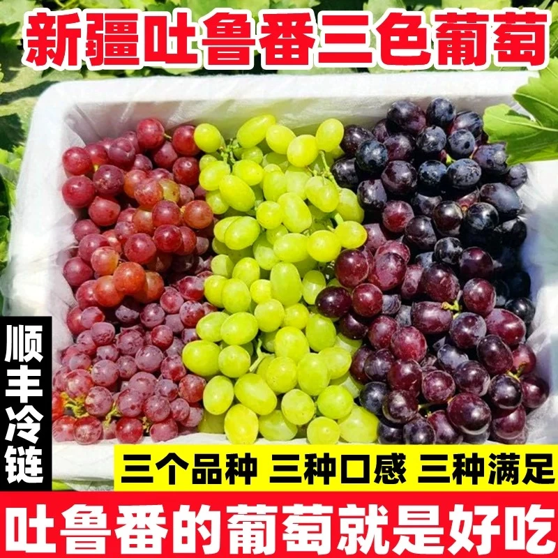【顺丰智慧多仓发货】新疆吐鲁番新鲜三色葡萄无核白无核紫玻璃翠