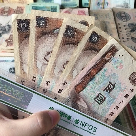 5张退市旧票福利品805